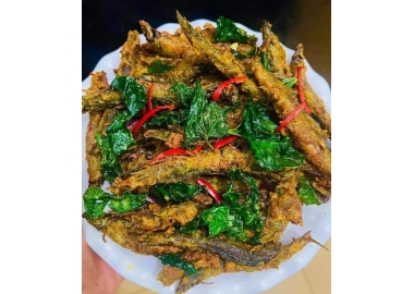 Chạch chiên lá lốt